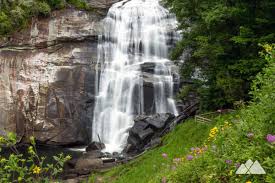 Asheville tree service has extensive experience professionally managing trees in western nc. Spring Hikes Near Asheville Our Favorite Trails Asheville Trails