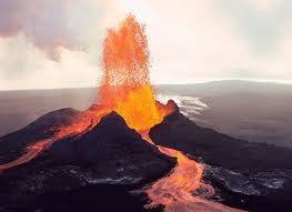 A., & van gaal, s. Careermoves For Procurementleaders 2021 By Mark Van Gaal Linkedin