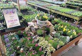 The map data and directions information is provided by a third party, garden centers near me has. Garden Centres To Remain Open In England And Scotland During Lockdown