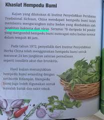 Biar doktor lihat tahap sakit lutut kita terlebih dahulu. Ubat Sakit Lutut Terlaris Inicio Facebook