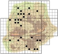 Image result for Ochna inermis