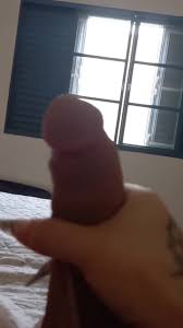 TS Fernanda Silveira tranny hardcore scenes unforgettable