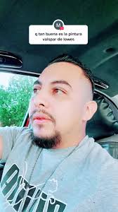 Que Tan Buena Es La Pintura De La Marca Tersavin