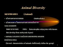 Check spelling or type a new query. Early Embryonic Development In Animals The Zygote Of