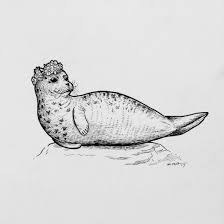 Seal Ink Art Inkart Inkillustrarion Inkpendrawings Inkdrawing Inkspiration Inklings Art Arts Artsy Artwork Aes Epic Tattoo Seal Tattoo Fish Drawings