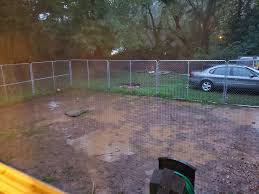 Got that one spot in your yard that's letting the whole team down, like a muddy patch in a high traffic area of the yard? Help No Grass All Mud And Have 2 Huge Dogs That Go In And Out The House Throughout The Day To Potty And Its Ruined Every Thing Inside Advice For What Could