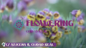 Desde nuestra floristería en calle azucena, 6 en el 13003 de ciudad real, hacemos el envío de flores a ciudad real, para pedidos incluso en el mismo día. Flowering Ciudad Real Tu Floristeria Lowcost Youtube