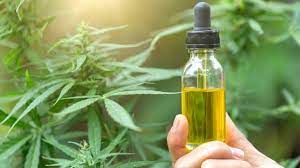 Oct 15, 2019 · in short, the drug testing lab may have erred; Cannabis Oil Complicates Drug Testing