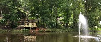 Largest rv dealer in greater baton rouge. Peaceful Pines Rv Park St Francisville Louisiana