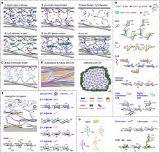 However, they all are surrounded by an cuticle: Solid State Nmr Of Plant And Fungal Cell Walls A Critical Review Sciencedirect
