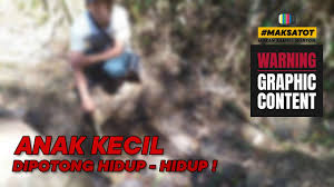 Pixeldrain.com is tracked by us since february, 2018. Anak Kecil Di Potong Hidup Hidup Vid Reaction Maksatot Makan Sambil Nonton Youtube