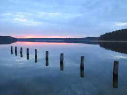 He is known for his work on robocop (1987), raw deal (1986) and the way of the gun (2000). Yoga Wochenende Am Stechlinsee Mit Mona Seyferth