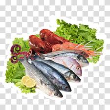 Assorted Edible Fishes Sustainable Seafood Fish Processing Salmon Fish Transparent Background Png Clipart Hiclipart 8,647 transparent png illustrations and cipart matching salmon. assorted edible fishes sustainable