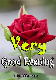 Maybe you would like to learn more about one of these? Beautiful Good Evening Flower Images Free Download Good Morning