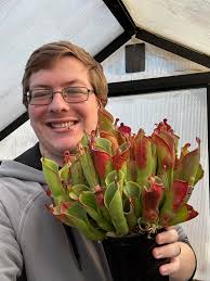 Comparison of Kong figure size with other figures