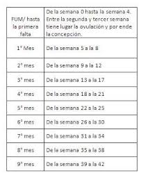 Cuantos Meses Son En 18 Semanas Club De Bebes Marzo 2018 Babycenter