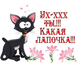 ÐÐ°ÑÑÐ¸Ð½ÐºÐ¸ Ð¿Ð¾ Ð·Ð°Ð¿ÑÐ¾ÑÑ ÐºÐ°ÑÑÐ¸Ð½ÐºÐ¸ Ð°Ð½Ð¸Ð¼Ð°ÑÐ¸Ñ ÐºÐ¾Ñ ÑÐ¿Ð°ÑÐ¸Ð±Ð¾