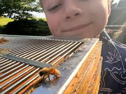 Everything looking great! Time to begin the harvest