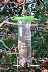 кормушка для птиц из пластиковой бутылки 5 литров фото Kormushka Dlya Ptic Iz Plastikovoj Butylki 200 Foto Kormushka Dlya Ptic Pticy Domashnie Pticy