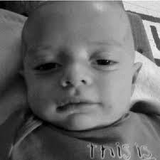 Crystal structure of BoNT/B holotoxin. The LC is shown as blue. The...