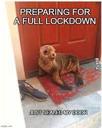 Agar ye video lockdown 4 meme wali video aapko pasand aayi toh like jarur thok ke jaana aur subscribe v kar dena.#lockdown this video is a lockdown meme video, made for fun purpose. Preparing For A Full Lockdown Imgflip