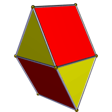 Image result for Gyrodoma hispida