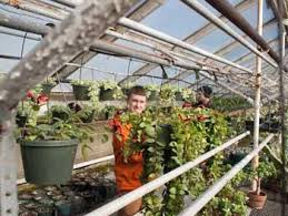 Learn the creative processes used to design gardens. Horticulture Landscaping Floral Design Horticulture Landscaping Floral Design Career And Technical Education