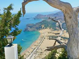 Image result for Thamnosma rhodesica