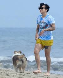 Harry At The Beach In Malibu Today Harry Edward Styles Loveislove Harr Harry Styles Pictures Harry Styles Mr Style