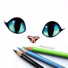 How to paint a photo realistic cat in pastels. Cat Eyes Drawing Easy Novocom Top