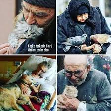 Pin By Ahmet Tan On Hayvanlara Merhamet Et In 2020 Fictional Characters Cute Character
