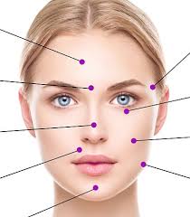 Blaine's Puzzle Blog: NPR Sunday Puzzle (Aug 20, 2023): A Jumble of Body  Parts