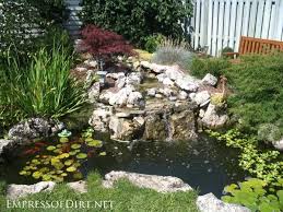 Beautiful classical design garden fish pond in a well cared backyard gardening background stock photosby ronyzmbow5/611. 20 Beautiful Backyard Pond Ideas For All Budgets