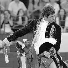 Manuel Ribeiro Telles Bastos