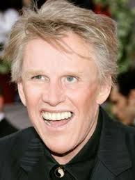 Gary Busey : Filmografia