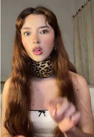 Shannon Mi Villano Favorito Casting