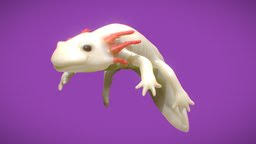 Pinkfin Salamander 3d Model By Nyxzilla Nyxzilla A0a1cb4 Sketchfab Model Axolotl 3d Model