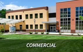 The popularity of lawn care as a hobby among home owners spawned a high volume of lawn care products intended to be used by everyday individuals with no landscape training. Steve Jansky Lawn Service 717 577 7833