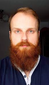 27 Weeks Now 1st Barber 13 Weeks Red Beard 23 Yo Page 12 Beard Board Red Beard Ginger Beard Hair And Beard Styles