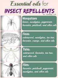 Homemade Mosquito Repellent Essential Oil Mosquito Repellent Spray