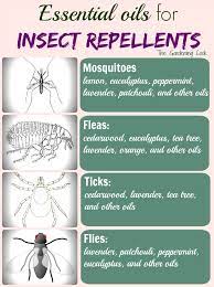 There are many different lamps you can get which will attract mosquitoes and then lead them to their untimely demise. Homemade Mosquito Repellent Essential Oil Mosquito Repellent Spray