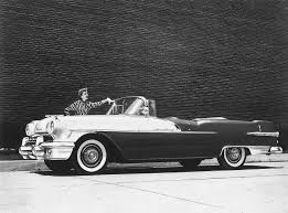 Image result for Camellia 1956 Pontiac