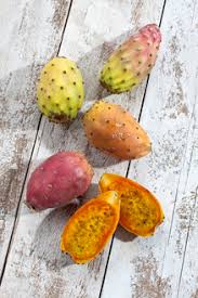 There, according to theophrastus, an edible plant grew which could be propagated by rooting its leaves. Prickly Pear Cactus Close Up 02477cs U Dieter Heinemann Westend61