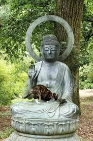 10985032 966729616681864 2087403276521616010 N Jpg 533 800 Cat Buddha Cat Art Cats And Kittens