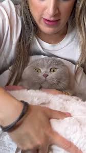 NOT HIM CURSING ME OUT 👹🤣 #fyp #foryou #foryoupage