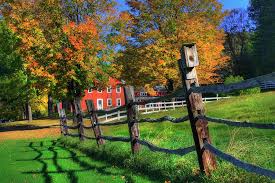Autumn in the Country Photograph by Joann Vitali