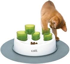 If your cat is bored or mischievous, she might need something fun to do. Slow Feeder Bowls For Cats Dishes To Slow Down Kitty S Mealtime