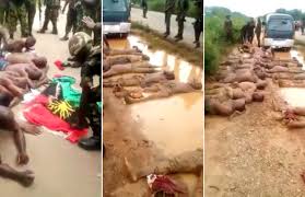 Image result for OPERATION PYTHON DANCE