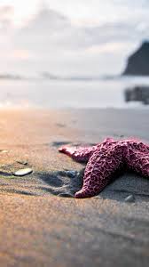Fond D Ecran Iphone Samsung Mobile Hd 3517 Telecharger Fonds D Ecran Et Wallpapers Gratuits Starfish Sea Beach
