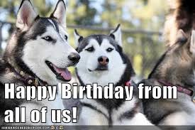 There can be nothing better than sending these hilarious happy birthday memes to your friends and family. Happy Birthday Husky Dog Meme
